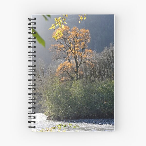 Item preview, "Illuminated Cottonwood" designed and sold by Lynn Bawden.