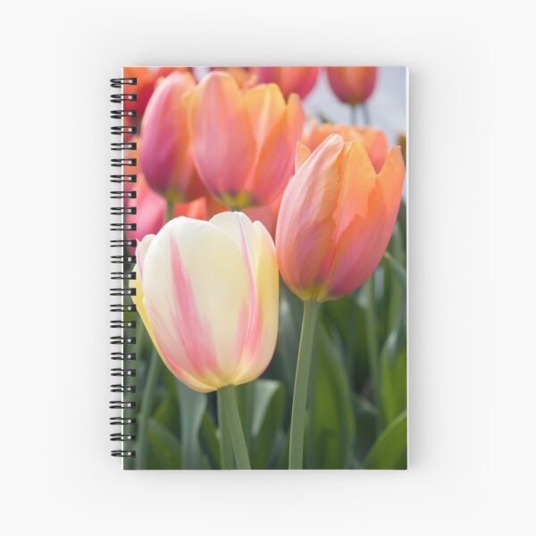 Shades of pink Spiral Notebook