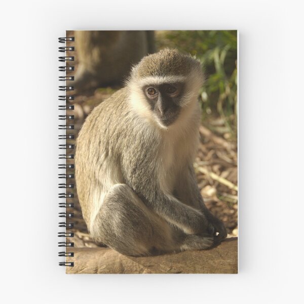 Item preview, Monkey See, Monkey Do. designed and sold by rflower.
