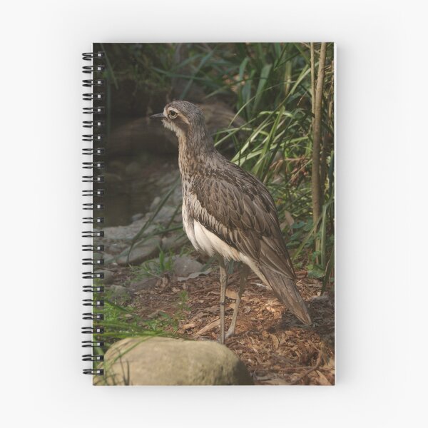 Item preview, Bush Stone Curlew designed and sold by rflower.