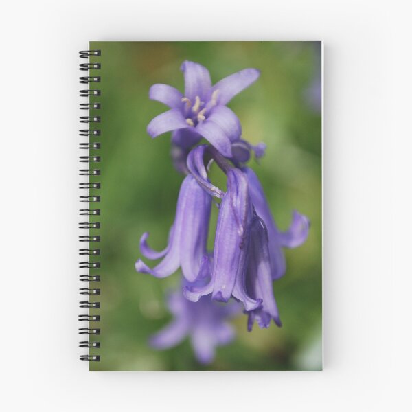 Item preview, Bluebell Heaven designed and sold by ejacent.