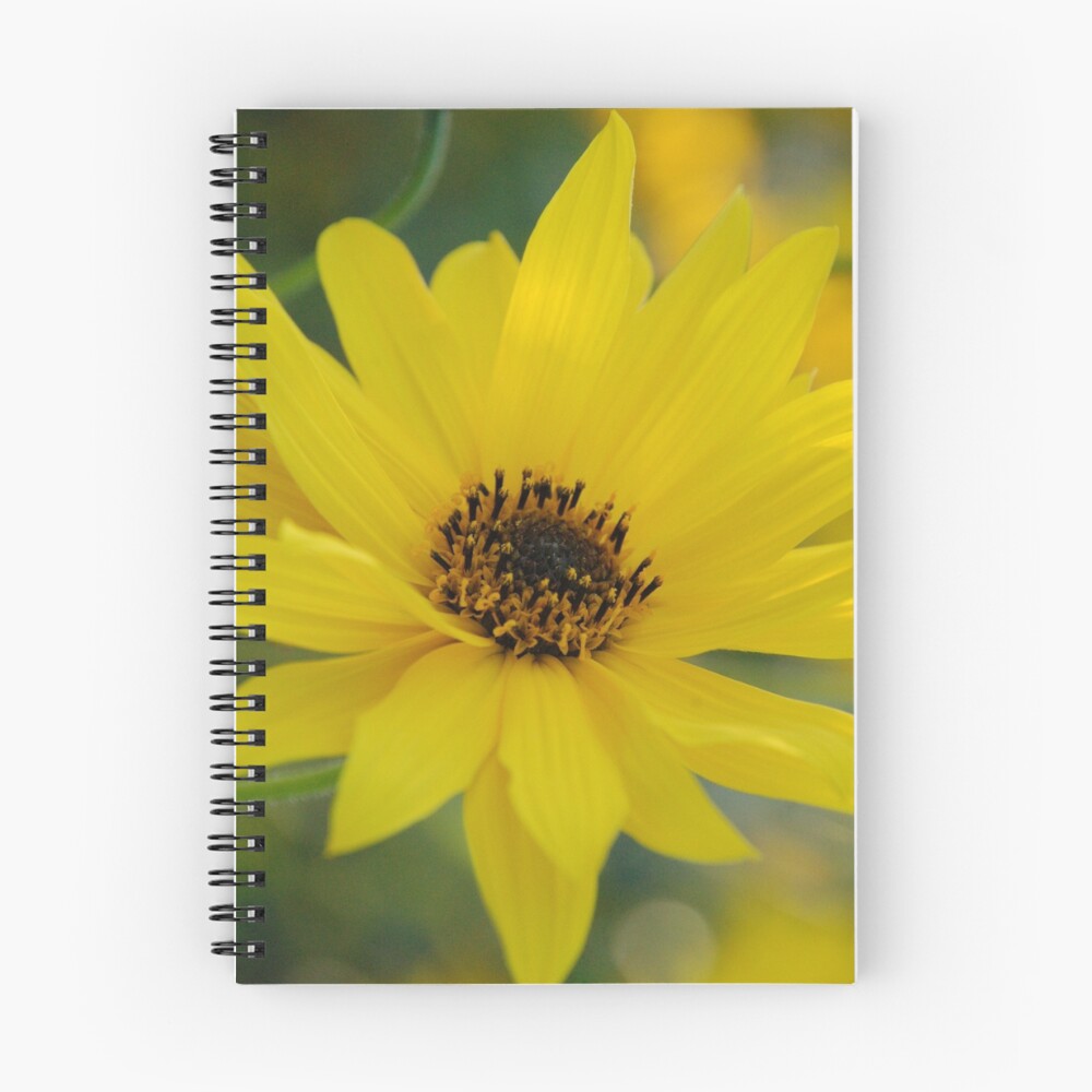 Item preview, Spiral Notebook designed and sold by DSPhotoDesigns.