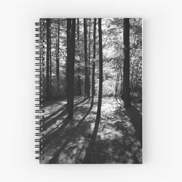 Item preview, Sunlit Forest designed and sold by rdshaw.