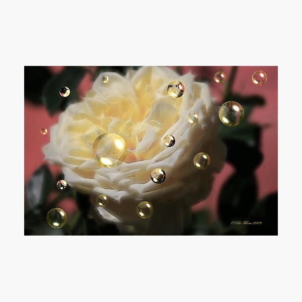 Item preview, Softly Delecate designed and sold by Pat Moore.