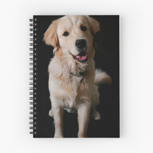 Item preview, Jackson in Rembrandt designed and sold by bobcwoods.