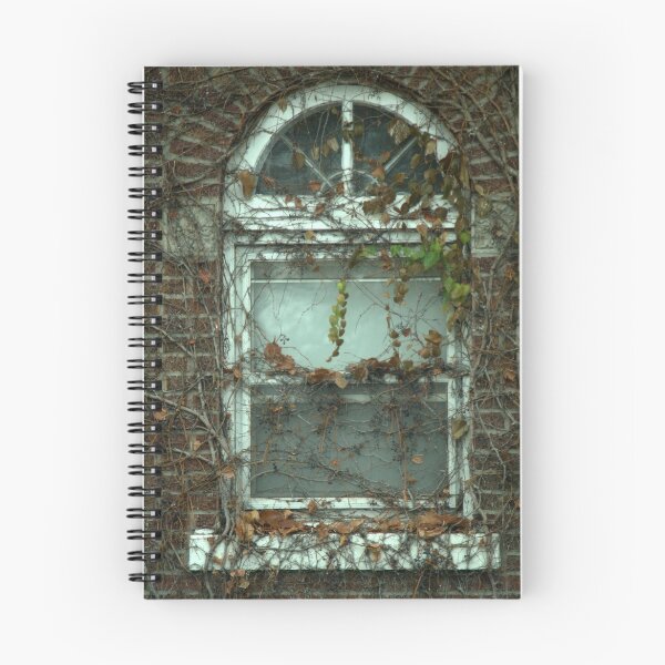 Item preview, Vines with a Window designed and sold by discerninglight.