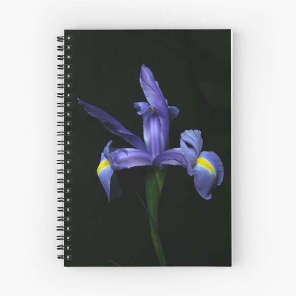 Item preview, The Iris designed and sold by Melzo318.