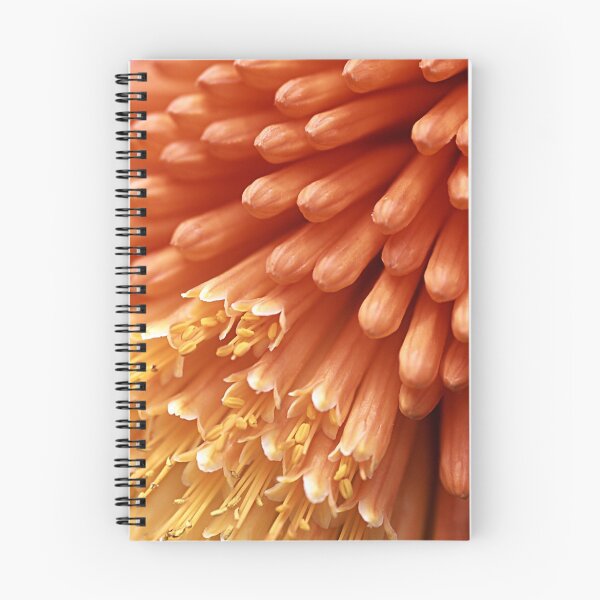 Item preview, Red Hot Poker designed and sold by pwrighteous.