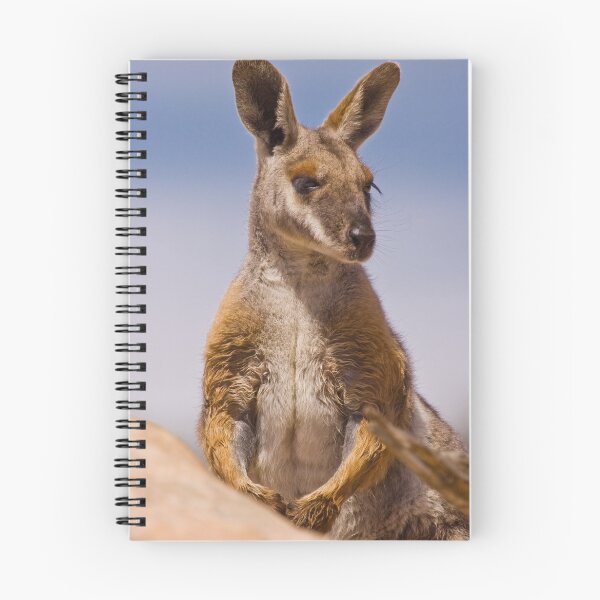 Item preview, Yellow Footed Rock Wallaby designed and sold by paultho.