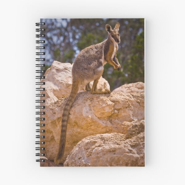 Item preview, Yellow Footed Rock Wallaby designed and sold by paultho.