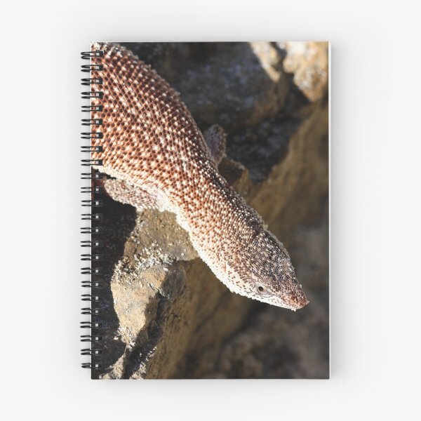 Item preview, Varanus primordius designed and sold by Steve Bullock.