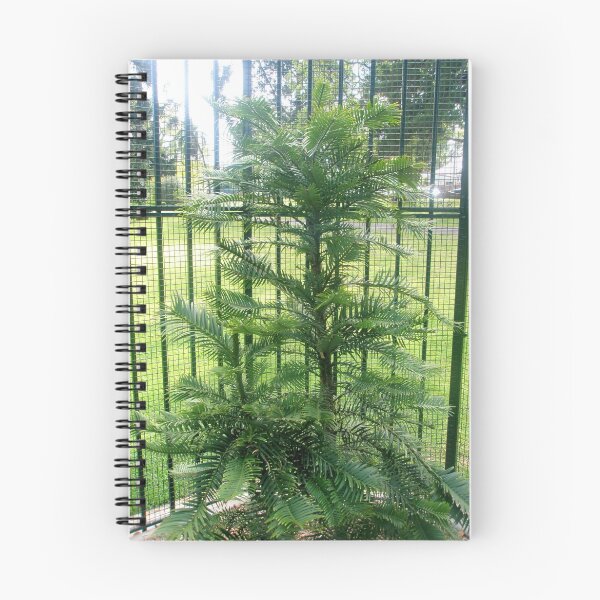Item preview, Wollemi Pine designed and sold by Melissa Park.