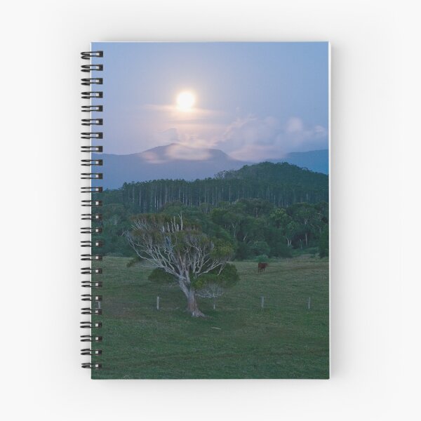 Item preview, Buwarri Moonrise designed and sold by James  Messervy.