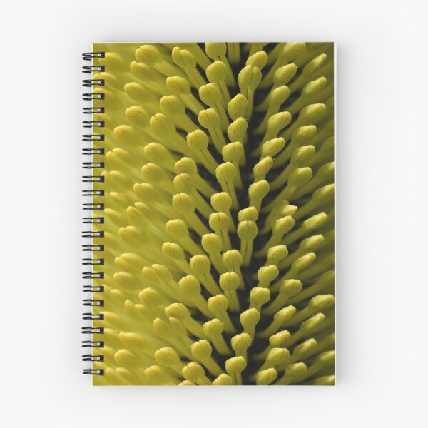 Item preview, Banksia species in bud designed and sold by Colin12.