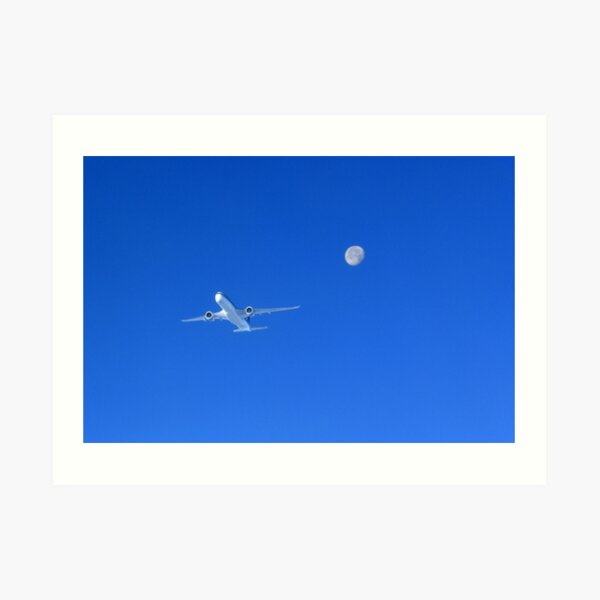 Fly by Art Print