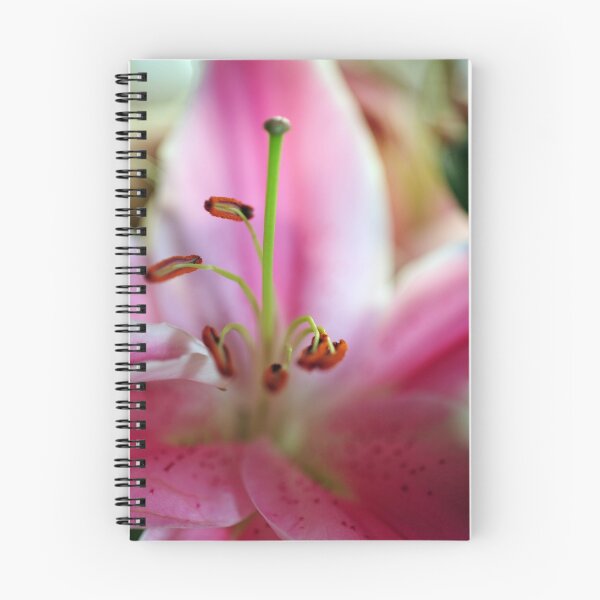 Item preview,  Pink Lily Anthers and Stamen designed and sold by rosie320d.