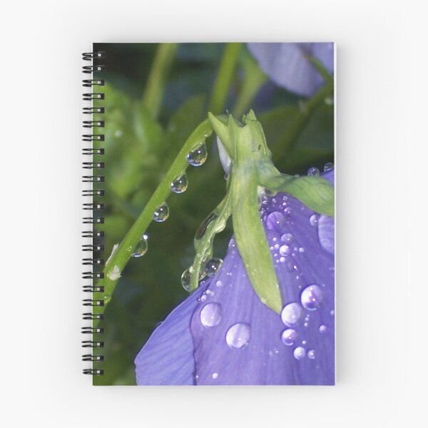 Item preview, Rain Catcher designed and sold by Shaina Haynes.