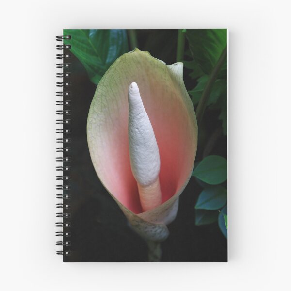 Item preview, Snake Plant Flower-6212  (Amorphophallus bulbifer) designed and sold by Barbara Harris.