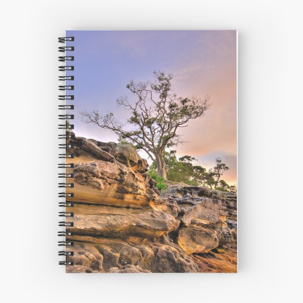 Item preview, Reach For The Sky - Balmoral Beach - The HDR Series designed and sold by Salieri1627.