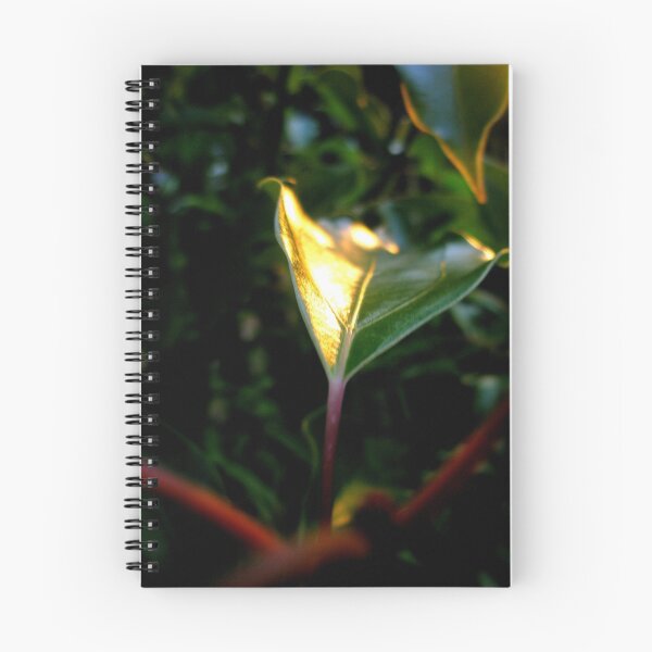 Item preview, Reflecting designed and sold by Melissa Park.