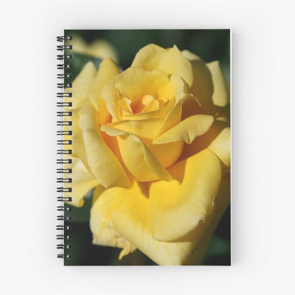 Item preview, Rose designed and sold by Debra LINKEVICS.