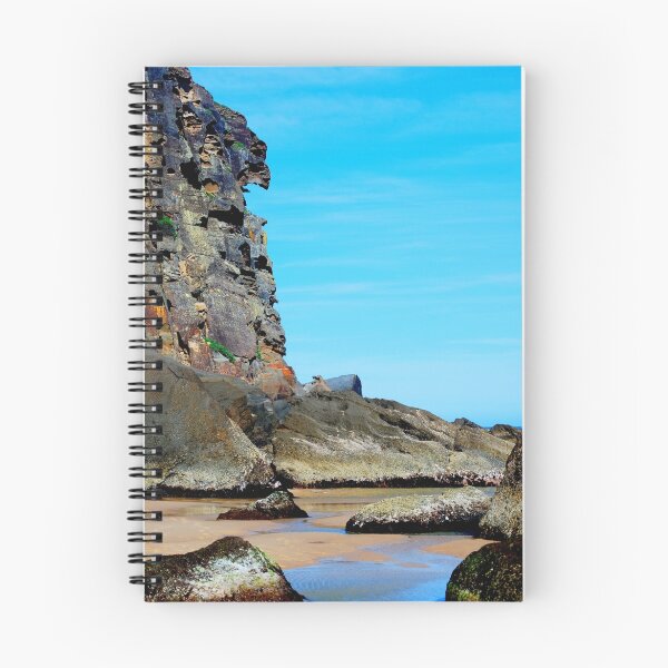 Item preview, Eagle Face - Redhead Beach NSW designed and sold by Bev Woodman.