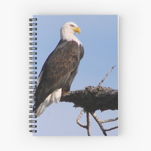 Item preview, Bald Eagle designed and sold by tkrosevear.