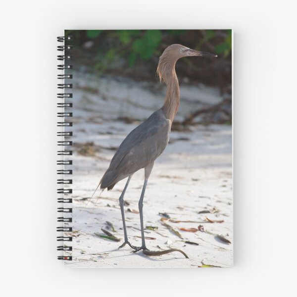 Item preview, Reddish Egret On The Beach designed and sold by Karen  Moore.