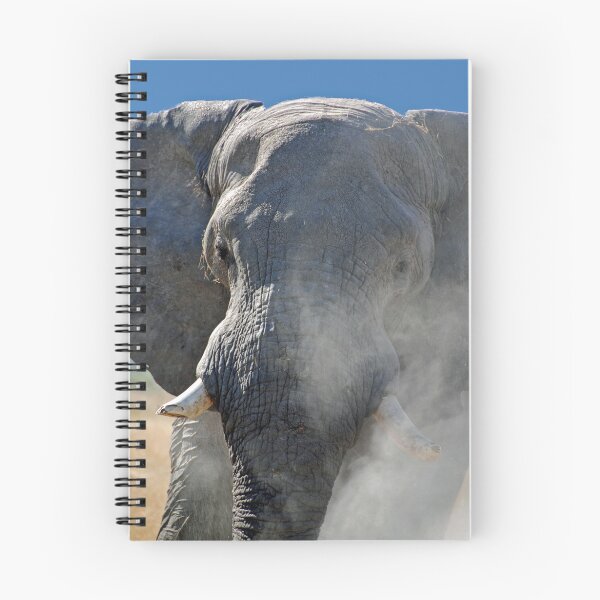 Item preview, Mr Cranky, Moremi Game Reserve, Botswana, Africa designed and sold by Adrian Paul.