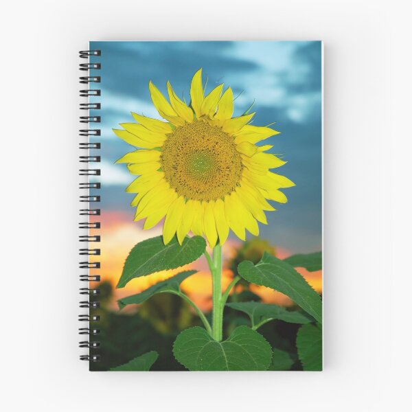 Item preview, Girasol al atardecer designed and sold by Jerry Walter.