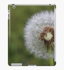 Make a Wish iPad Case/Skin