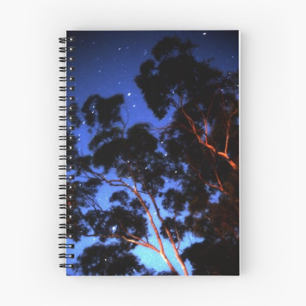 Item preview, Star trails & eucalypts designed and sold by Duncan Waldron.