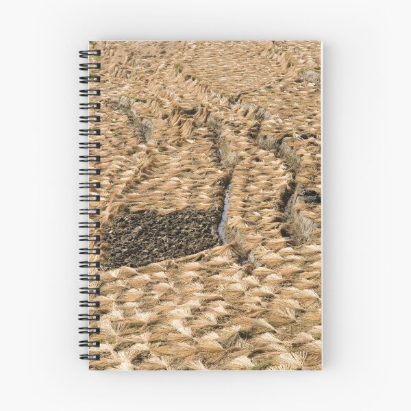 Item preview, Rice designed and sold by Walter Quirtmair.