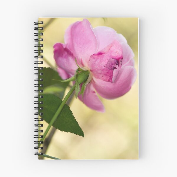 Item preview, Bruised Rose designed and sold by Bonnie T.  Barry.