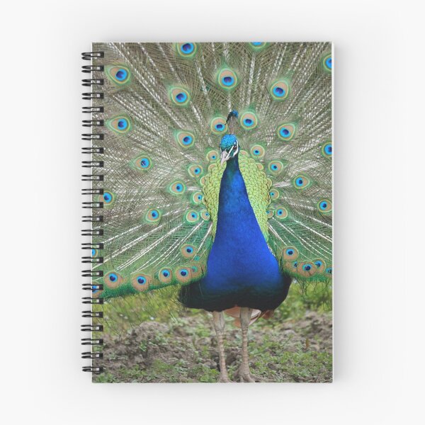 Item preview, Peacock designed and sold by Faith Barker Photography.