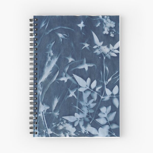 Artikelvorschau, Flower cyanotype entworfen und verkauft von Catherine Hadler.