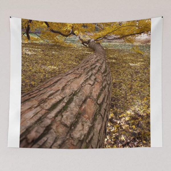 Item preview, The Long, Long, Long, Long Limb designed and sold by Adam Bykowski.