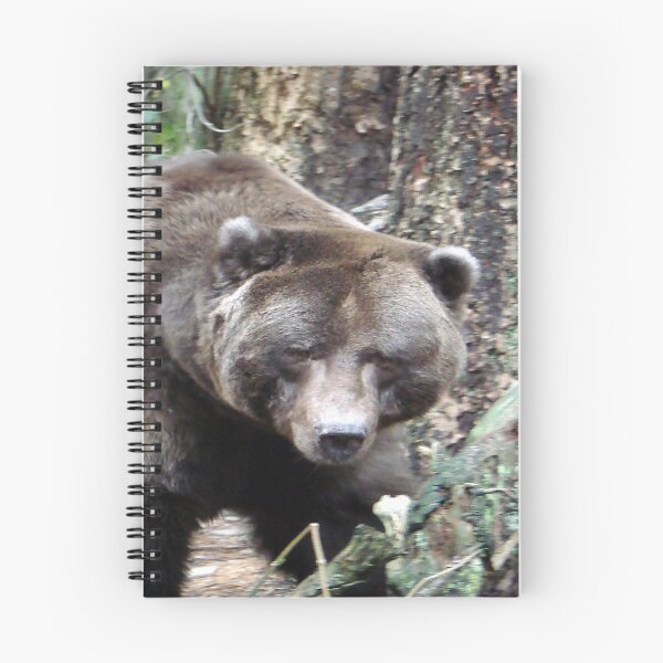 Item preview, Ursus Major designed and sold by tkrosevear.