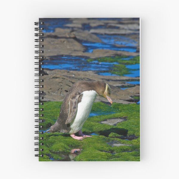 Item preview, Yellow-eyed Penguin designed and sold by Nickolay Stanev.