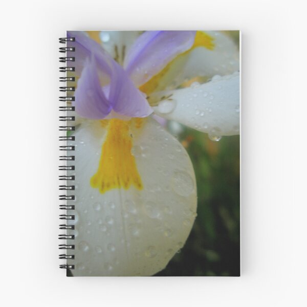Item preview, Watery designed and sold by Melissa Park.