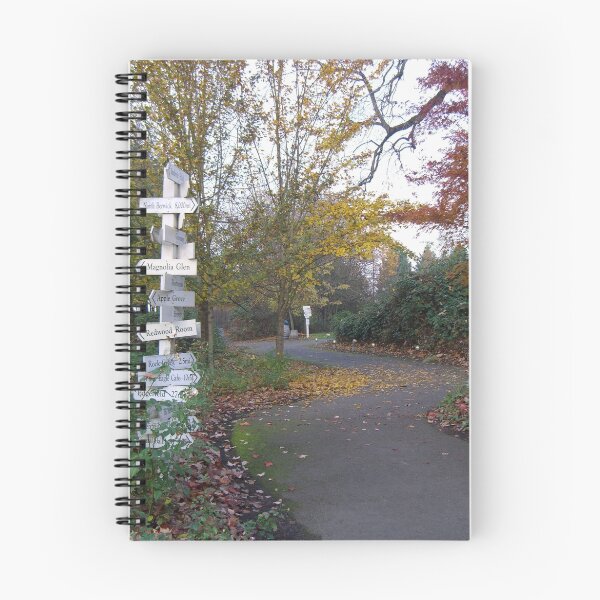 Item preview, Which Way? designed and sold by Cheryl  Lunde.