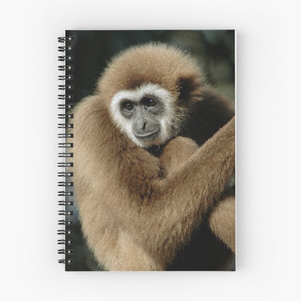 Item preview, Monkey designed and sold by mc27.