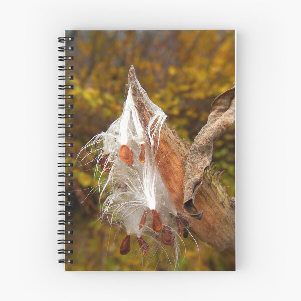 Item preview, The Milkweed designed and sold by madmac57.