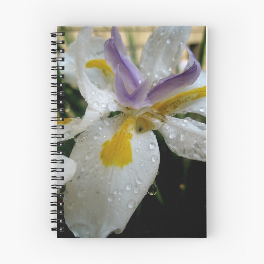 Item preview, Spiral Notebook designed and sold by lollly.