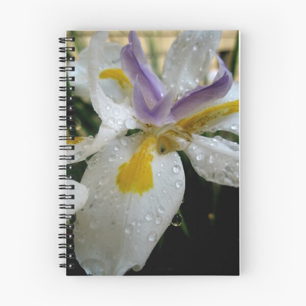 Item preview, Splashed designed and sold by Melissa Park.