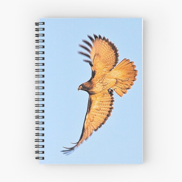 Item preview, Red Tailed Hawk designed and sold by Marvin Collins.