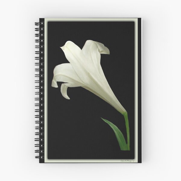 Item preview, Easter Lily designed and sold by Cheri Perry.