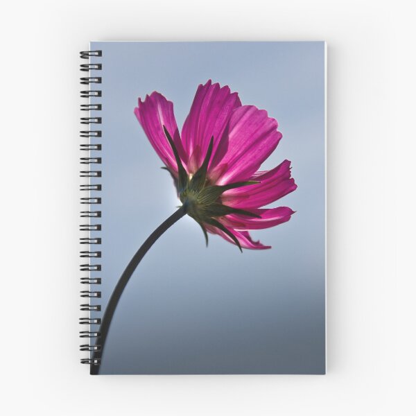 Item preview, Pink designed and sold by Rose Atkinson.