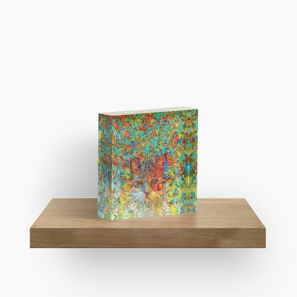 Abstract Cat Acrylic Block