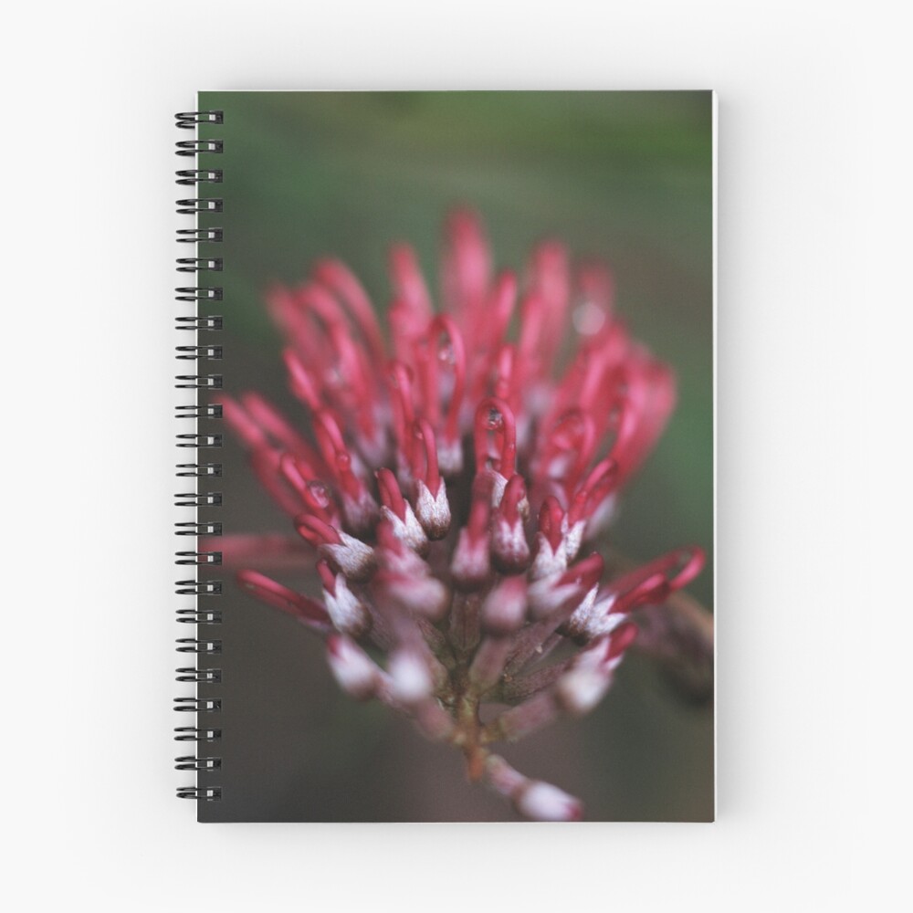Item preview, Spiral Notebook designed and sold by Sammo88.